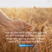 20241106_Dankdag.jpg