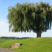 kapelsche_veer_1